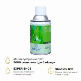 Experience аерозоль (Spring Air) 310 мл