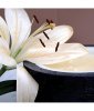 Аерозоль Spring Air® Sensitive Touch 250 мл — чуттєвий аромат білих квітів та жасмину
