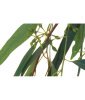 Ароматизатор повітря Spring Air Eucalyptus (Евкаліпт) 250 мл