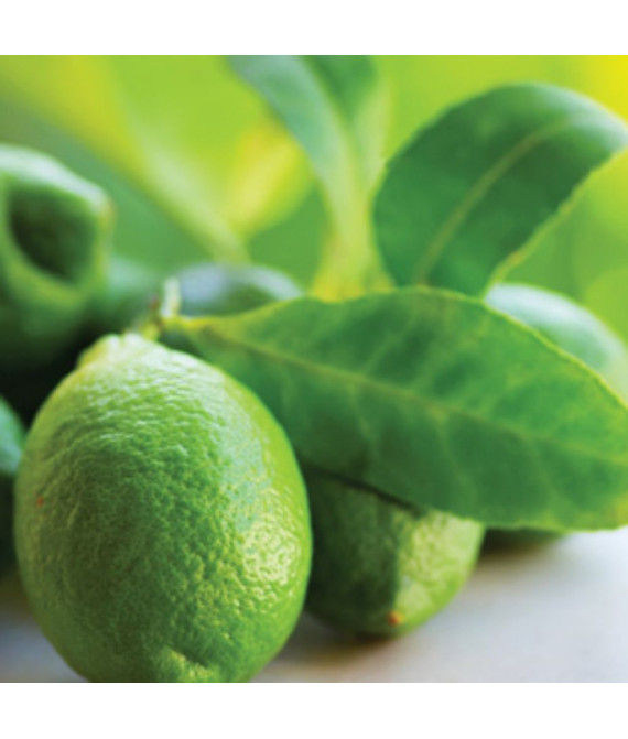 Аерозоль Spring Air® Citrus Valley 250 мл — свіжий цитрусовий аромат долини