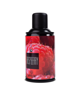 Raspberry аерозоль 250 мл