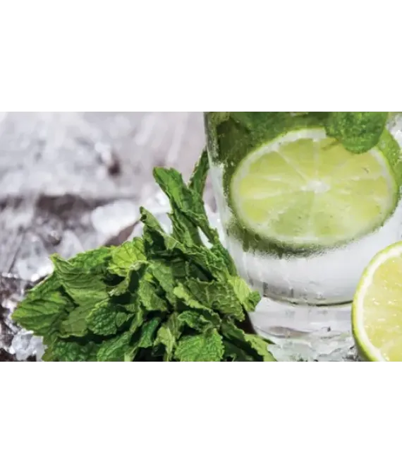Ароматизатор повітря Spring Air Mojito (Мохіто) 250 мл
