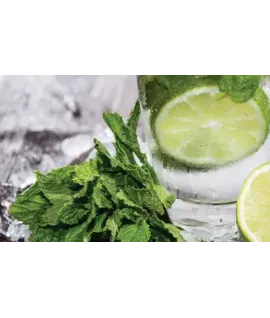 Mojito —  Мохіто — аерозоль Spring Air 250 мл