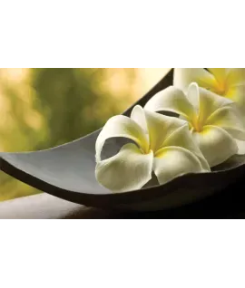 Relax - Релакс - аерозоль Spring Air 250 мл 