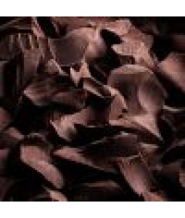 Dark Choco — Чорний шоколад — аерозоль Spring Air 250 мл