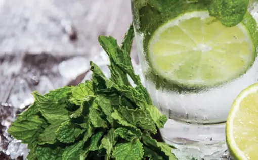 ароматизатор Mojito - Мохито Spring Air®