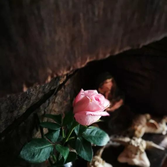 ароматизатор Rose-Oud Wood - Роза и удовое дерево Spring Air®